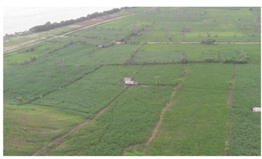 Tanah Pinggir Pantai dan Bukit di Jerowaru, Lombok TImu