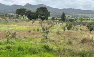Terreno agrícola en venta en Tecomalucan, Tlaxco, Tlaxcala