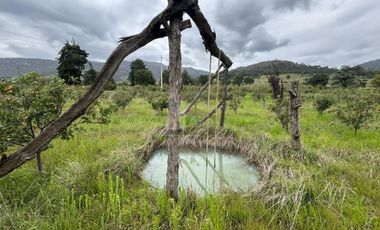Terreno agrícola en venta en Tecomalucan, Tlaxco, Tlaxcala