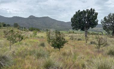Terreno agrícola en venta en Tecomalucan, Tlaxco, Tlaxcala