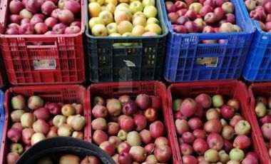 Terreno agrícola en venta en Tecomalucan, Tlaxco, Tlaxcala