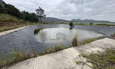 Terreno agrícola en venta en Tecomalucan, Tlaxco, Tlaxcala