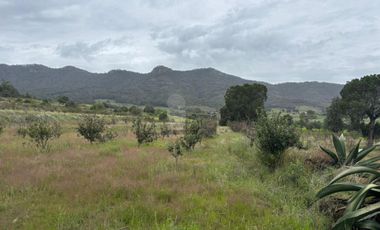 Terreno agrícola en venta en Tecomalucan, Tlaxco, Tlaxcala