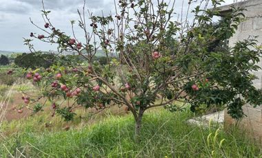 Terreno agrícola en venta en Tecomalucan, Tlaxco, Tlaxcala