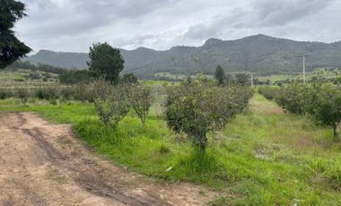 Terreno agrícola en venta en Tecomalucan, Tlaxco, Tlaxcala