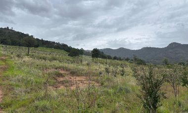Terreno agrícola en venta en Tecomalucan, Tlaxco, Tlaxcala