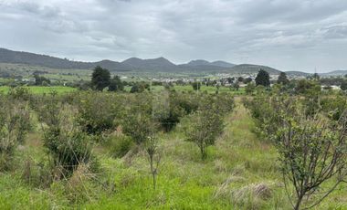 Terreno agrícola en venta en Tecomalucan, Tlaxco, Tlaxcala