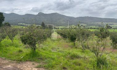 Terreno agrícola en venta en Tecomalucan, Tlaxco, Tlaxcala