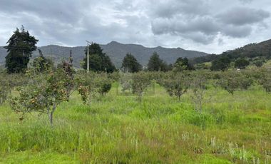 Terreno agrícola en venta en Tecomalucan, Tlaxco, Tlaxcala