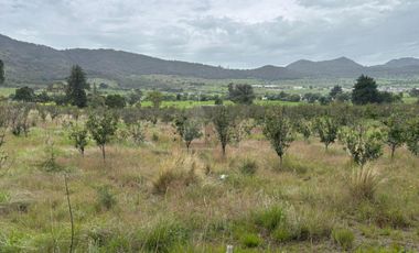 Terreno agrícola en venta en Tecomalucan, Tlaxco, Tlaxcala