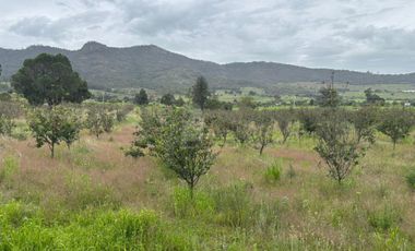 Terreno agrícola en venta en Tecomalucan, Tlaxco, Tlaxcala