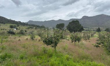 Terreno agrícola en venta en Tecomalucan, Tlaxco, Tlaxcala