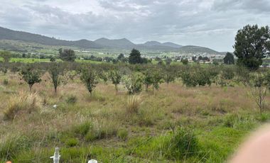 Terreno agrícola en venta en Tecomalucan, Tlaxco, Tlaxcala