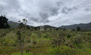 Terreno agrícola en venta en Tecomalucan, Tlaxco, Tlaxcala