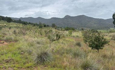 Terreno agrícola en venta en Tecomalucan, Tlaxco, Tlaxcala