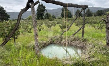 Terreno agrícola en venta en Tecomalucan, Tlaxco, Tlaxcala