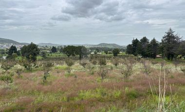 Terreno agrícola en venta en Tecomalucan, Tlaxco, Tlaxcala