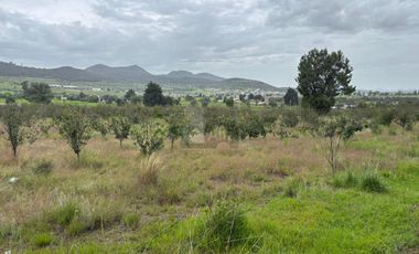 Terreno agrícola en venta en Tecomalucan, Tlaxco, Tlaxcala