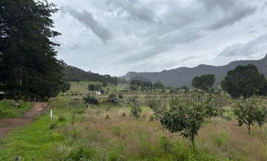 Terreno agrícola en venta en Tecomalucan, Tlaxco, Tlaxcala