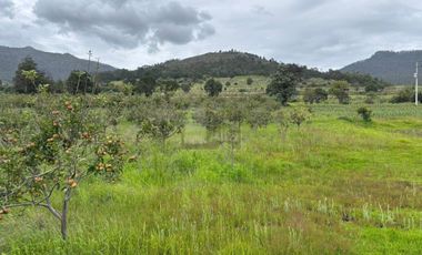 Terreno agrícola en venta en Tecomalucan, Tlaxco, Tlaxcala