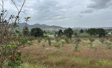 Terreno agrícola en venta en Tecomalucan, Tlaxco, Tlaxcala