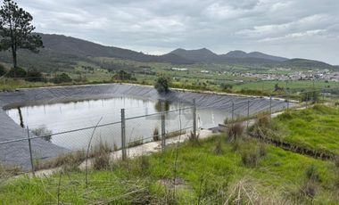 Terreno agrícola en venta en Tecomalucan, Tlaxco, Tlaxcala