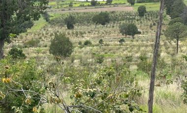 Terreno agrícola en venta en Tecomalucan, Tlaxco, Tlaxcala