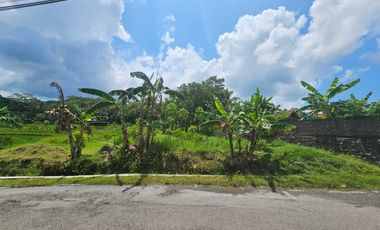 JUAL TANAH KEBUMEN LOKASI STRATEGIS