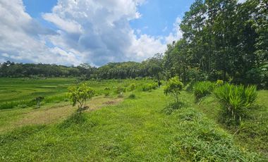 JUAL TANAH KEBUMEN LOKASI STRATEGIS