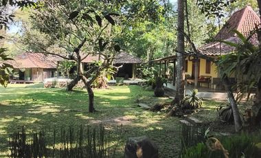 Jual villa klasik joglo lawasan di kawasan wisata kaliurang sleman