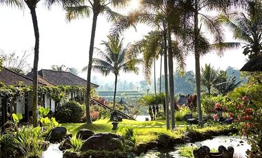 Nego, villa view lembah dan sawah yang menawan di Ubud