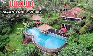 Nego, villa view lembah dan sawah yang menawan di Ubud