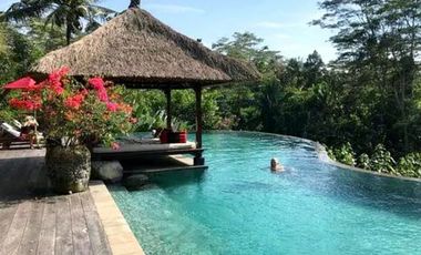 Nego, villa view lembah dan sawah yang menawan di Ubud