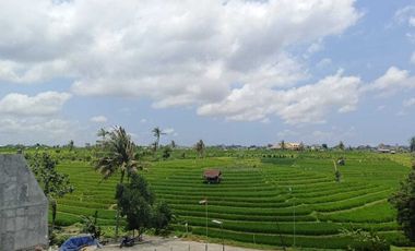 VILLA READY UNIT FURNISHED 2LT VIEW SAWAH LOKASI PERERENAN CANGGU