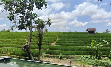 VILLA READY UNIT FURNISHED 2LT VIEW SAWAH LOKASI PERERENAN CANGGU