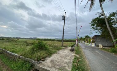 Tanah murah dekat bandara YIA Jogja strategis untuk segala usaha