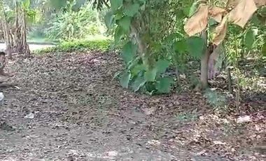 DIJUAL TANAH PEKARANGAN VIEW SAWAH MURAH, COCOK HUNIAN/INVES, JK11545