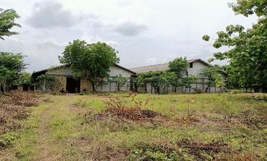 Gudang di Lamongan Tikung