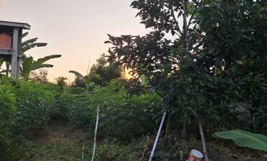 BU Urgent|1,4jt/m|SHM Pekarangan|Jln.Jogja-Solo|5mnt ke Toll Prambanan