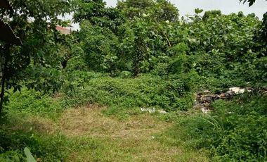 Disewakan Lahan Strategis Buncit Raya Jakarta Selatan