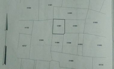 Tanah sawah satu tahun panin 3 kali