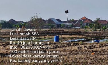 Tanah sawah satu tahun panin 3 kali