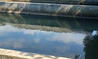 BELI RUMAH MURAH BONUS TANAH 2862M DI BANDONGAN MAGELANG