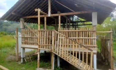 BELI RUMAH MURAH BONUS TANAH 2862M DI BANDONGAN MAGELANG