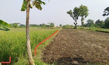 Tanah Murah Kemudo jl. Jogja - Solo