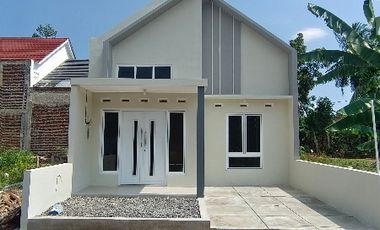 RUMAH CANTIK BERNUANSA ALAM DI TENGAH KOTA