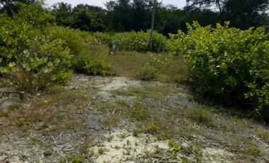 Dijual Cepat Tanah MURAH tepi Pantai Gili Meno View Sunset