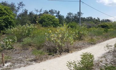 Dijual Cepat Tanah MURAH tepi Pantai Gili Meno View Sunset