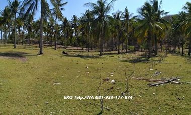 Dijual Tanah MURAH Dekat Pantai Gili Trawangan Lombok