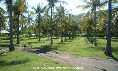 Dijual Tanah MURAH Dekat Pantai Gili Trawangan Lombok